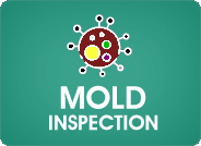 Mold Testing and Inspections